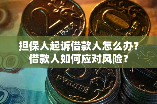 济南担保人起诉借款人怎么办？借款人如何应对风险？