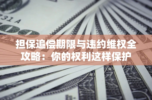 济南担保追偿期限与违约维权全攻略：你的权利这样保护