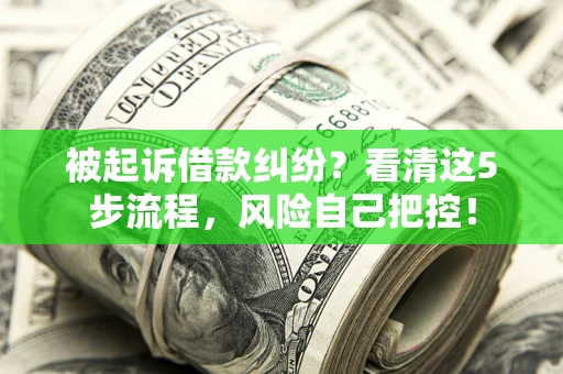 济南被起诉借款纠纷？看清这5步流程，风险自己把控！
